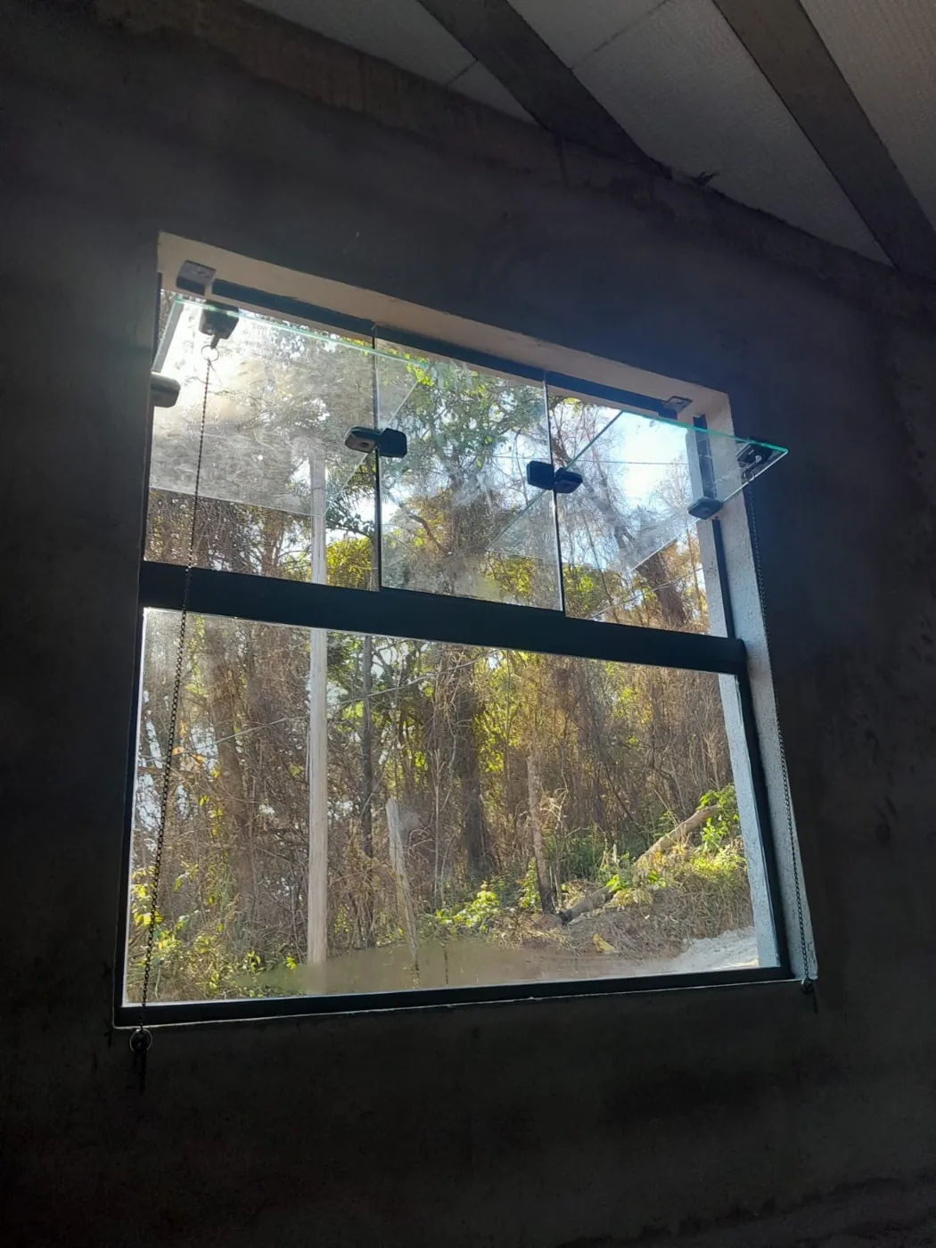 Janela de vidro com abertura superior em parede de concreto aparente, com vista para árvores